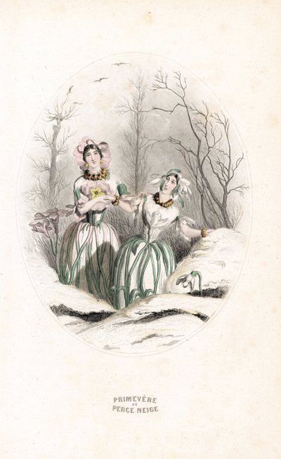 Le fate bucano la neve e la primula in un paesaggio innevato - Acquaforte di Charles Geoffroy (1819-1882), basata su un