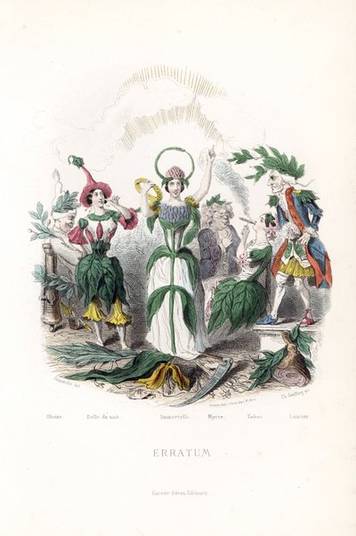 Le fate dei fiori, quella dell