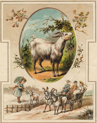 La capra. Incisione in "Mon premier Grand Alphabet". Edizione Bernardin-Bechet, Parigi, circa 1890. Illustrazioni di A. des Lilleuls. 46 pagine. da Unbekannt