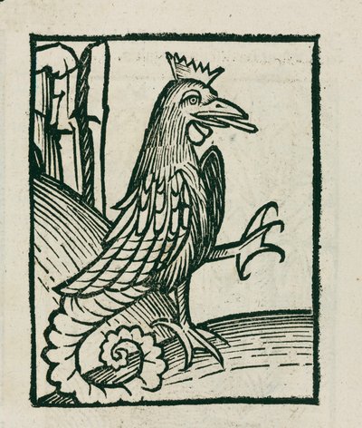 Il basilisco mitico da Unbekannt