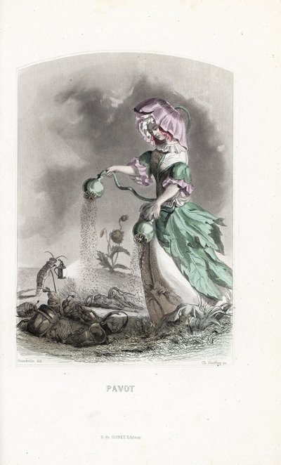 La fata del papavero spruzza capsule di oppio su coleotteri e locuste droghe - Acquaforte di Charles Geoffroy (1819-1882), basata su un