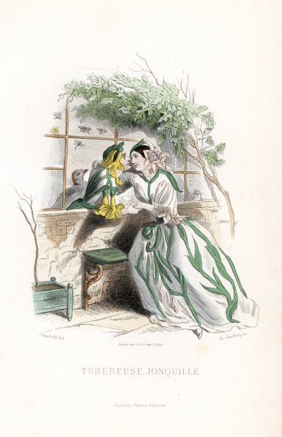 La fata del tubero e un elfo narciso sono corteggiati su una panchina da giardino, accanto a un muro - Acquaforte di Charles Geoffroy (1819-1882), basata su un