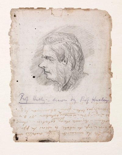 Thomas Henry Huxley, biologo inglese, metà-fine XIX secolo da Unbekannt