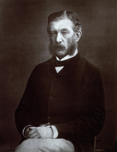 Ritratto a tre quarti del funzionario scozzese Sir James Fergusson, Governatore di Bombay da Unbekannter Künstler