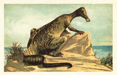 Trachodon mirabilis, dinosauro hadrosauride estinto. 1908 (litografia) da Unbekannter Künstler