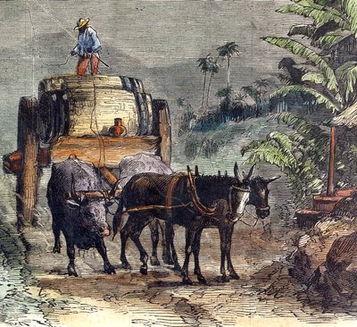 Trasporto di rum da Unbekannter Künstler