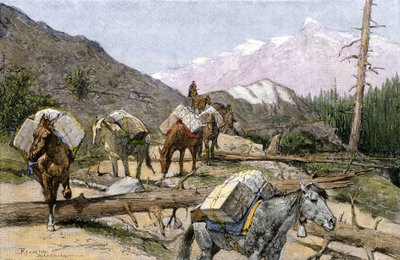 Trasporto di provviste e pellicce a cavallo nelle Montagne Rocciose, USA. Da un