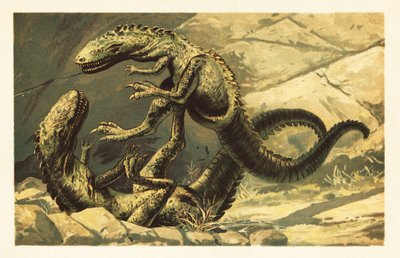 Due Dryptosaurus aquilunguis che combattono. 1908 da Unbekannter Künstler