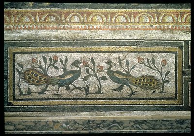 Due pavoni, dettaglio del bordo decorativo di un pavimento a mosaico che raffigura le stagioni e scene di caccia, dalla Villa Costantiniana a Daphne da Unbekannt