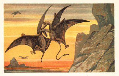 Due pterodattili che combattono in volo contro un cielo cremisi. 1908 (litografia) da Unbekannter Künstler