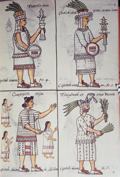 Tzapotlatena, Chalchiuhtlatonal, Cioapipitli e Tliltecuhtli, Codice Fiorentino, versione bilingue in spagnolo e nahuatl, Storia generale delle cose della Nuova Spagna (Historia general de las cosas de Nueva Espana), Azteca da William M. Timlin