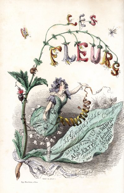 Una fata dei fiori si siede su una foglia e tiene un nastro (pagina del titolo) - Acquaforte di Charles Geoffroy (1819-1882), da un