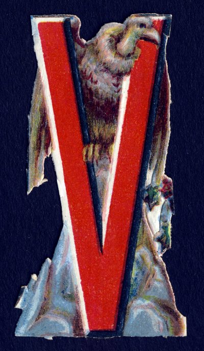 V come Avvoltoio. Decoupis di coleotteri sul tema degli animali. Incisione. Serie di 26 cromolitografie waffle di origine inglese. Editore e illustratore sconosciuti. Fine XIX secolo. da Unbekannt