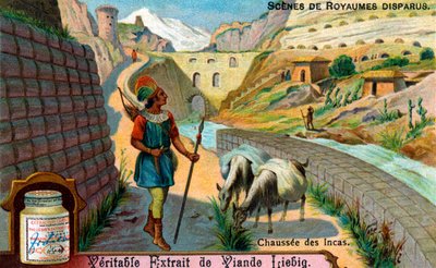 Civiltà scomparse: strada rialzata Inca da Unbekannter Künstler