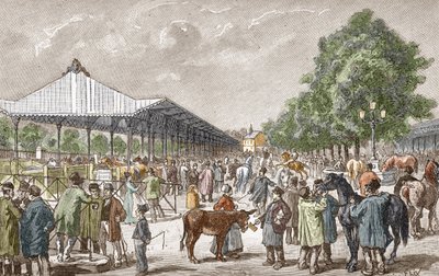 Veduta del mercato dei cavalli nel 5° distretto di Parigi. Incisione da 