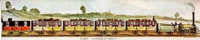 Vagoni per passeggeri di prima classe, Ferrovia Liverpool-Manchester da Unbekannter Künstler