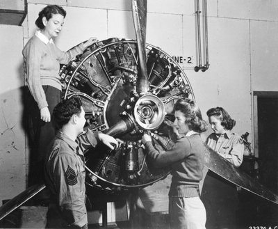 Le vespe imparano da dove viene la potenza nel motore del B-17 Flying Fortress durante l