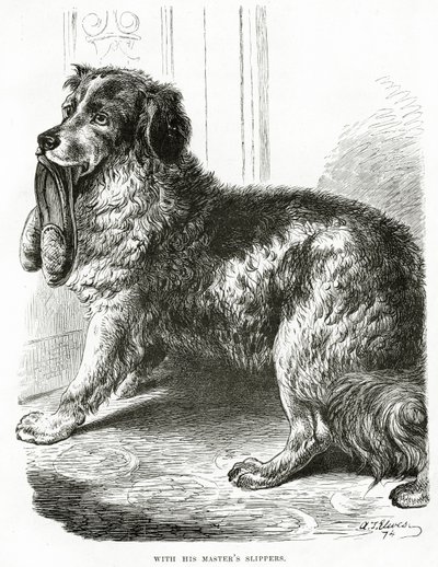 Con le pantofole del suo padrone 1902 da Unbekannt