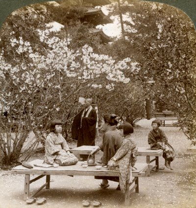 Una famiglia che si gode un picnic sotto i ciliegi in fiore, Omuro Gosho, Kyoto, Giappone, 1904 da Underwood and Underwood
