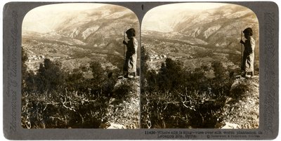 Una piantagione di bachi da seta nelle montagne del Libano, Siria, 1900 da Underwood and Underwood