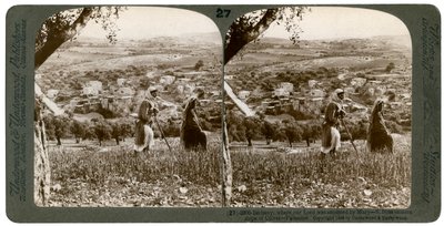 Betania vista dal versante orientale del Monte degli Ulivi, Palestina da Underwood and Underwood