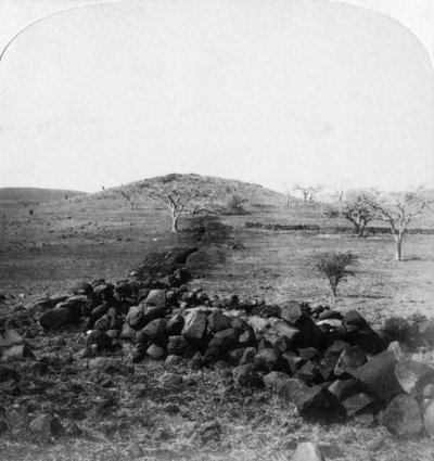 Trincee boere e cresta di Harts Hill, scena della famosa carica della Brigata Irlandese, Colenso, 1901 da Underwood and Underwood