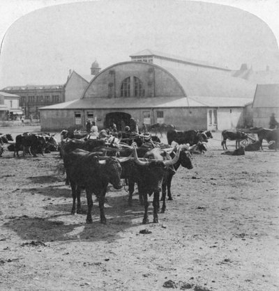 Edificio in cui furono processati i prigionieri di guerra, Pretoria, Sudafrica, Guerra Boera, 1901 da Underwood and Underwood