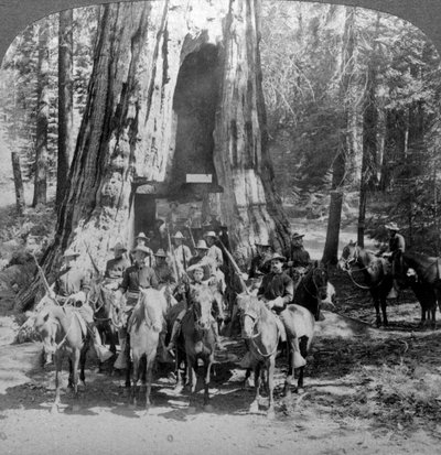Cavalleria che passa attraverso il grande albero della California, USA da Underwood and Underwood