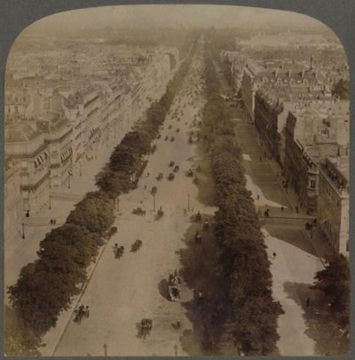 Champs Elysees - dall
