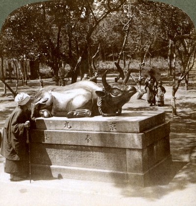 Donna devota che accarezza un toro di bronzo per curare i reumatismi, tempio Kitano Tenjin, Kyoto, Giappone, 1904 da Underwood and Underwood