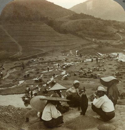 Dragaggio di un letto di fiume per rubini, Mogok, Birmania, c1900s da Underwood and Underwood