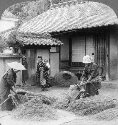 Mogli di contadini al lavoro, Iwakuni, Giappone, 1904 da Underwood and Underwood