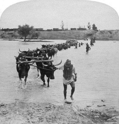 Attraversamento del Fiume Modder, Guerra Boera, Sudafrica, 15 febbraio 1901 da Underwood and Underwood