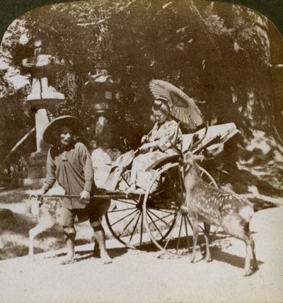 Ragazza che nutre cervi sacri mentre va a pregare, giardini del Tempio Kasuga, Nara, Giappone, 1904 da Underwood and Underwood