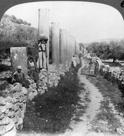 Strada delle colonne di Erode, Samaria, Palestina Israele, 1905 da Underwood and Underwood
