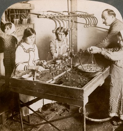 Produzione di seta, Siria, 1900s da Underwood and Underwood