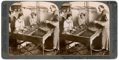 Produzione di seta, Siria, 1900 da Underwood and Underwood
