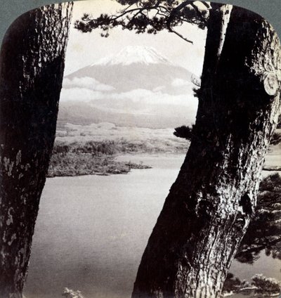 Monte Fuji, visto da nord-ovest, attraverso i pini al Lago Motosu, Giappone, 1904 da Underwood and Underwood