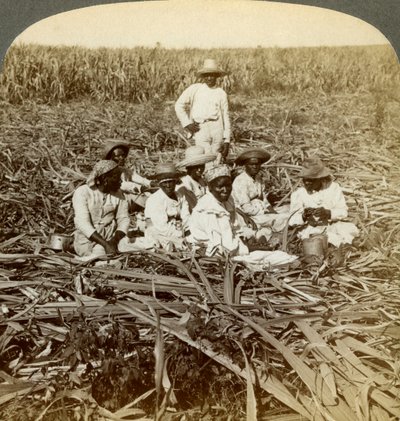 Nella piantagione di zucchero La Union, San Luis, provincia di Santiago, Cuba da Underwood and Underwood