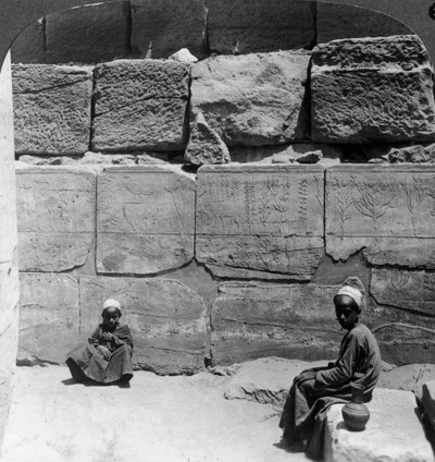 Piante e animali portati dalla Siria dai Faraoni, tempio di Karnak, Egitto, 1905 da Underwood and Underwood