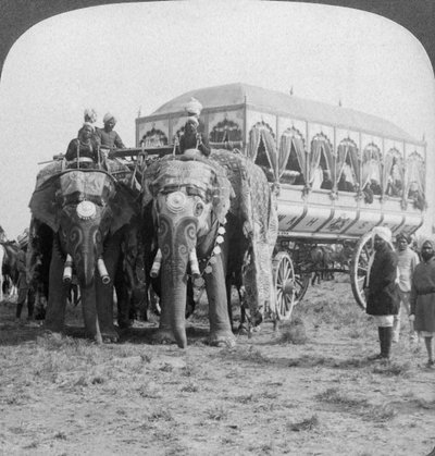 Elefanti riccamente adornati e carrozza del Maharaja di Rewa al Delhi Durbar, India, 1903 da Underwood and Underwood