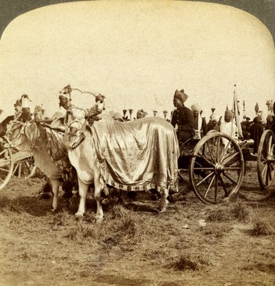 Cannone d