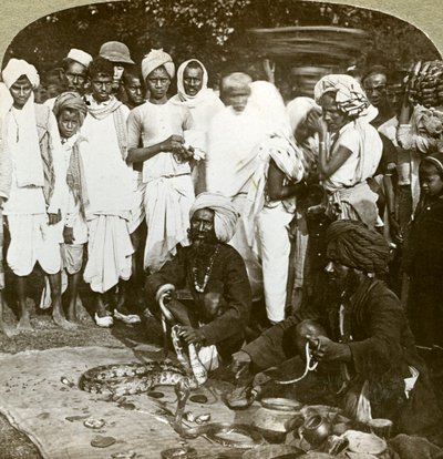 Incantatore di serpenti, Calcutta, India da Underwood and Underwood