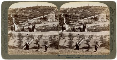 Il Giardino del Getsemani e il Monte degli Ulivi, Palestina da Underwood and Underwood