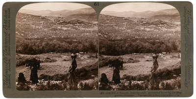 La collina di Samaria, dal sud, circondata dai suoi fichi e uliveti, Palestina, 1900 da Underwood and Underwood