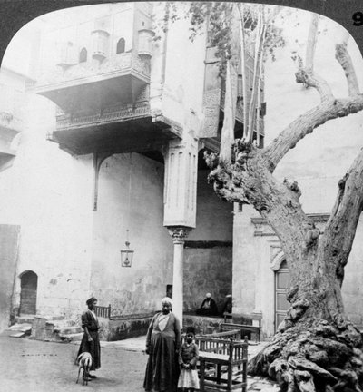 Le finestre dell