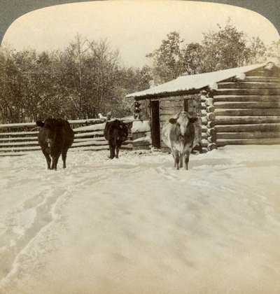 Inverno in un ranch, Montana, USA da Underwood and Underwood