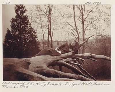 [Beatrice Thom su un albero, Haddonfield, New Jersey]. da Unidentified