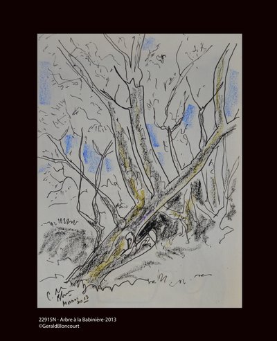 Albero a Babiniere 2013 da Unknown