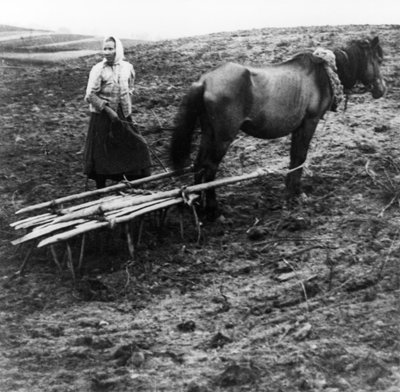 Una contadina con cavallo che ara il terreno in una fattoria nel villaggio di Voronovo sul Volga nella Russia pre-rivoluzionaria, 1900 da Unknown